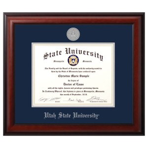 Utah State Meridian Diploma frame.